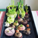 15 Ways For Using Eggshells In The Garden
