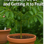 Got Ants? Try This Simple, Natural Trick