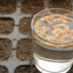 Baking Soda Is A Gardener’s Best Friend – Here Are 14 Nifty Uses In The Garden