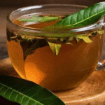 How to Grow a Rubber Plant from a Leaf: Step-by-Step Guide