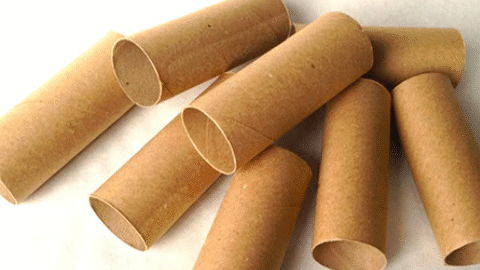 Stop Throwing Away Empty Toilet Rolls