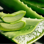 7 Reasons Why Your Snake Plant Never Produces Pups