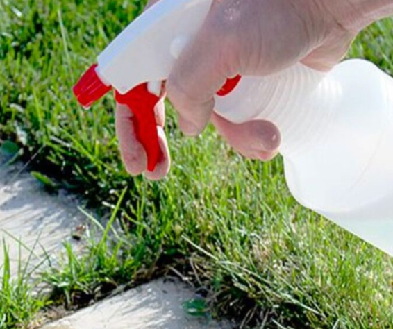 White Vinegar Is A Gardener’s Best Friend. Here Are 11 Clever Uses in The Garden