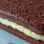 Chocolate cake with ice cream