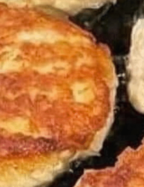 Southern Fried Salmon Patties