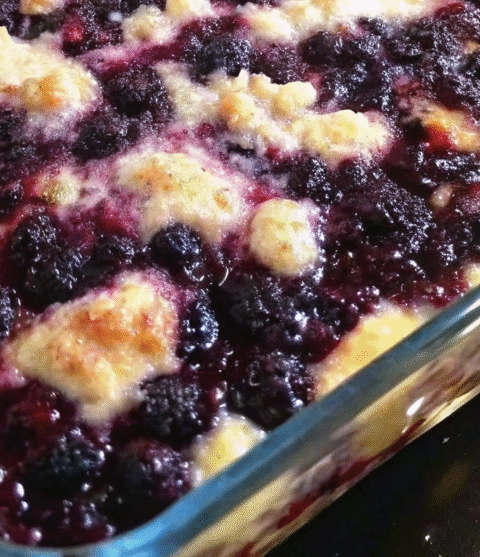 Warm & Sweet Blackberry Cobbler