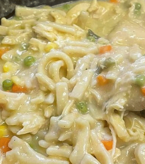 Quick & Tasty Chicken Noodles