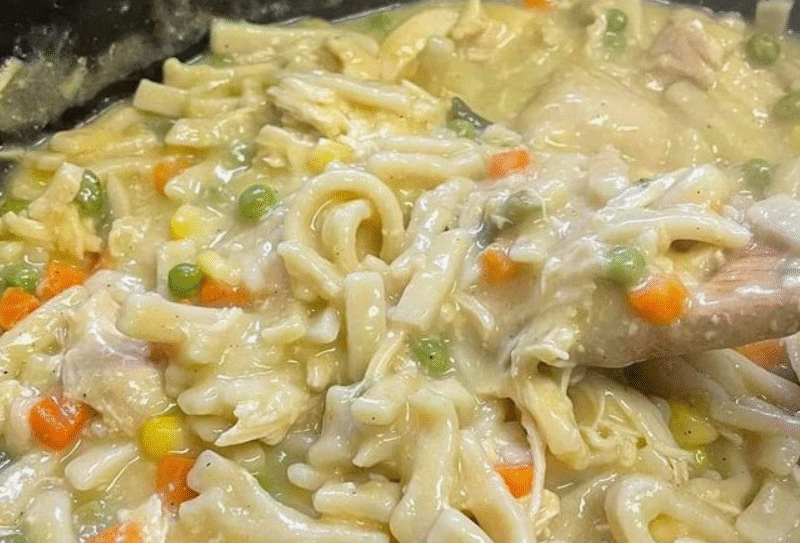 Quick & Tasty Chicken Noodles